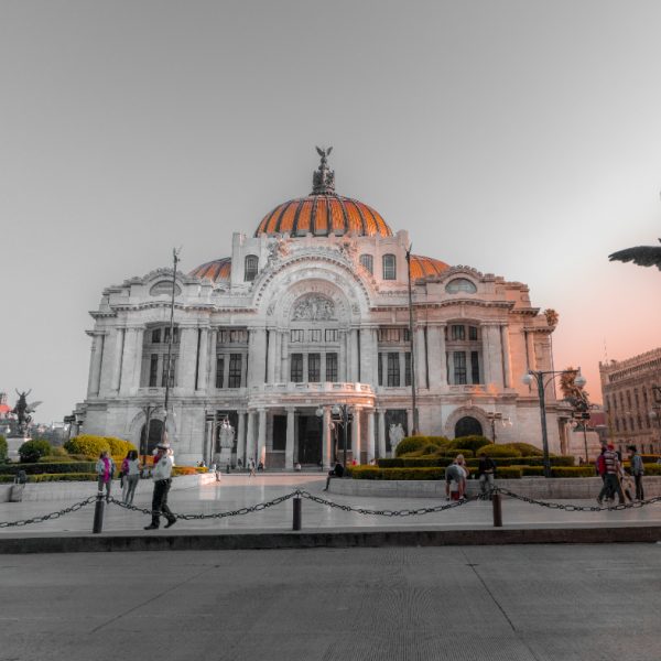 Bellas artes dia