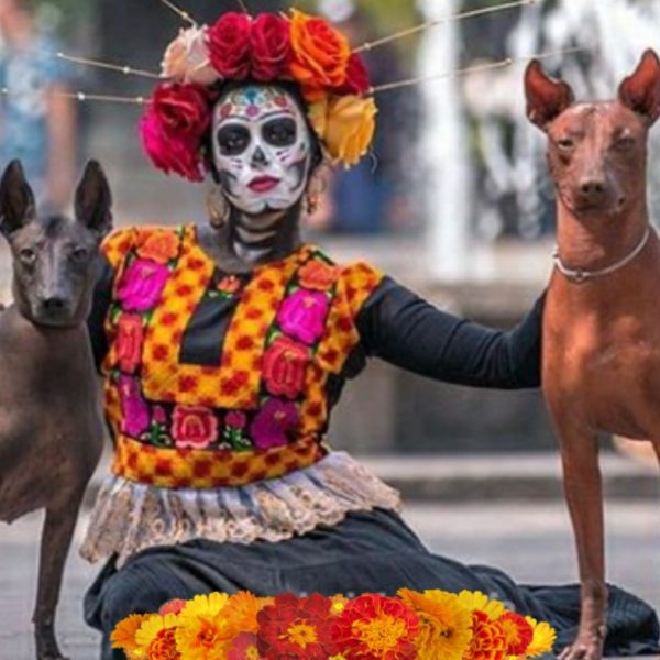 xoloitzcuintle catrina